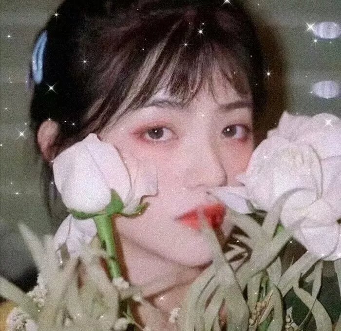 儿女的战争
